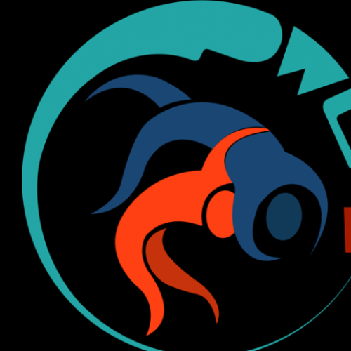 Former Ukraine star to feature in PWL